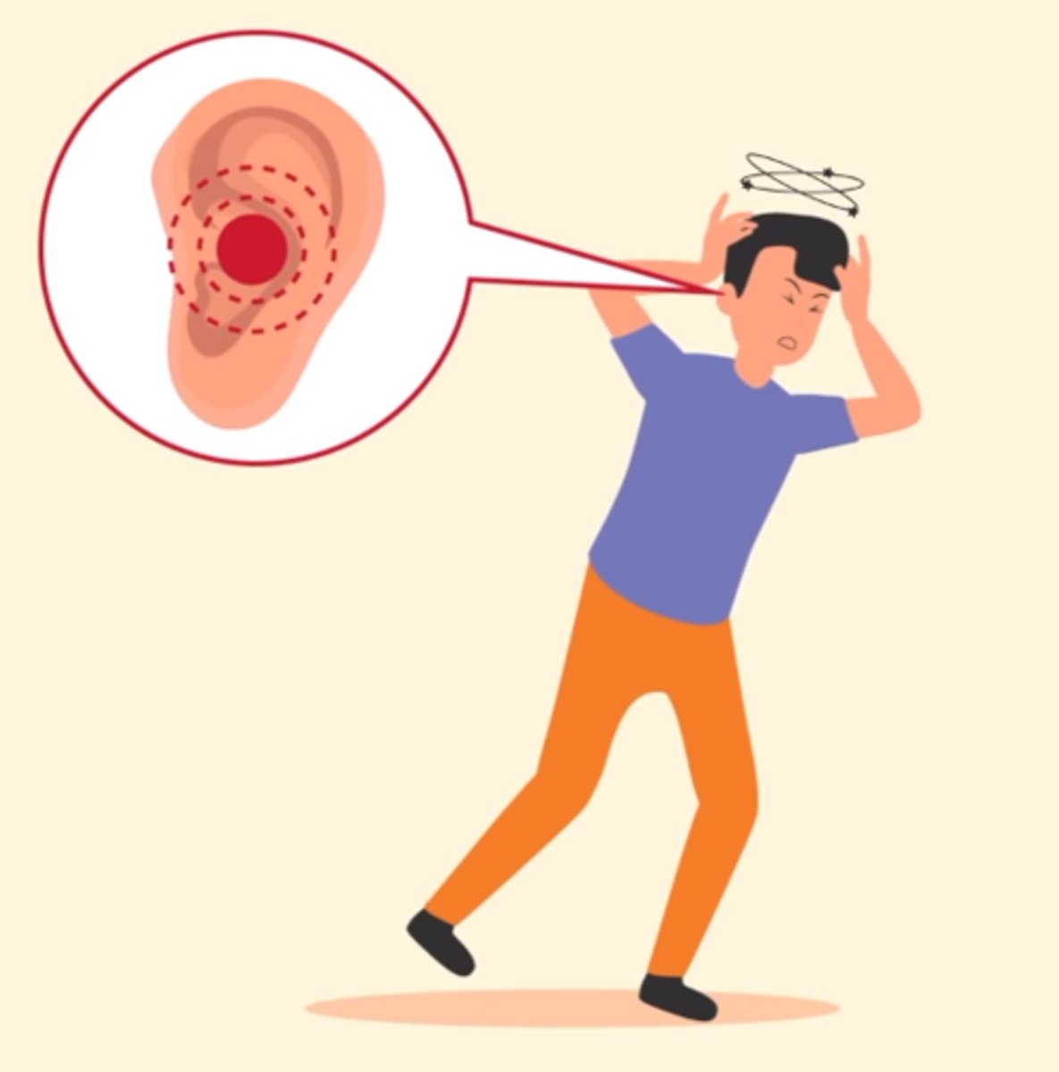 <p>vestibular toxicity</p>