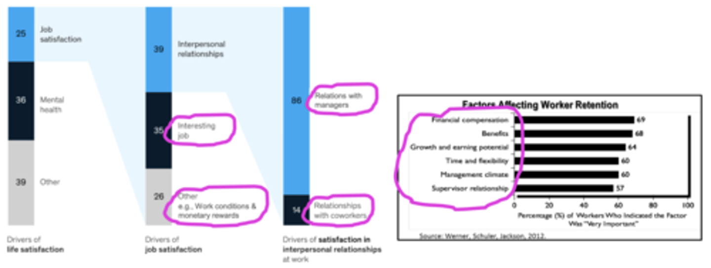 <p>Yes for life satisfaction</p><p>- Interpersonal relations : supervisors and coworkers (managers have big impact)</p><p>- Job itself</p>