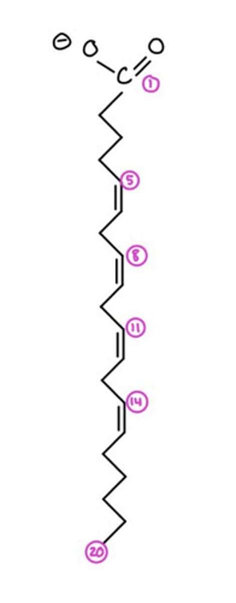 <p>What is the common name of this?</p>