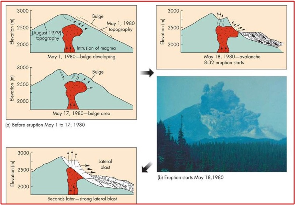 <ul><li><p>before its eruption, it was dormant for 120 years</p></li><li><p><span>in March 1980, small explosions occurred due to </span><strong><span>groundwater contacting magma</span></strong></p></li><li><p><span>A </span><strong><span>bulge</span></strong><span> began growing on the flank of the mountain</span></p></li><li><p><span>On May 18, 1980, a </span><strong><span>M 5.1 earthquake </span></strong><span>(at </span><mark data-color="red" style="background-color: red; color: inherit;"><span>convergent boundar</span></mark><span>y) caused the </span><mark data-color="red" style="background-color: red; color: inherit;"><span>bulge to break</span></mark><span> off and fall downslope.</span></p></li><li><p style="text-align: left;"><span>A </span><strong><mark data-color="red" style="background-color: red; color: inherit;"><span>lateral blast </span></mark></strong><span>occurred from the area of the former bulge and the entire north slope was destroyed.</span></p></li><li><p style="text-align: left;"><strong><mark data-color="red" style="background-color: red; color: inherit;"><span>Ash</span></mark><span> was ejected from the central crate</span></strong><span>r, reached heights of 19km, and travelled around the world</span></p></li><li><p><span>It killed 57 people, mainly from </span><mark data-color="red" style="background-color: red; color: inherit;"><span>pyroclastic flows</span></mark></p></li><li><p><span>The eruption left behind a barren landscape that is slowly reforesting naturally.</span></p></li></ul><p></p>