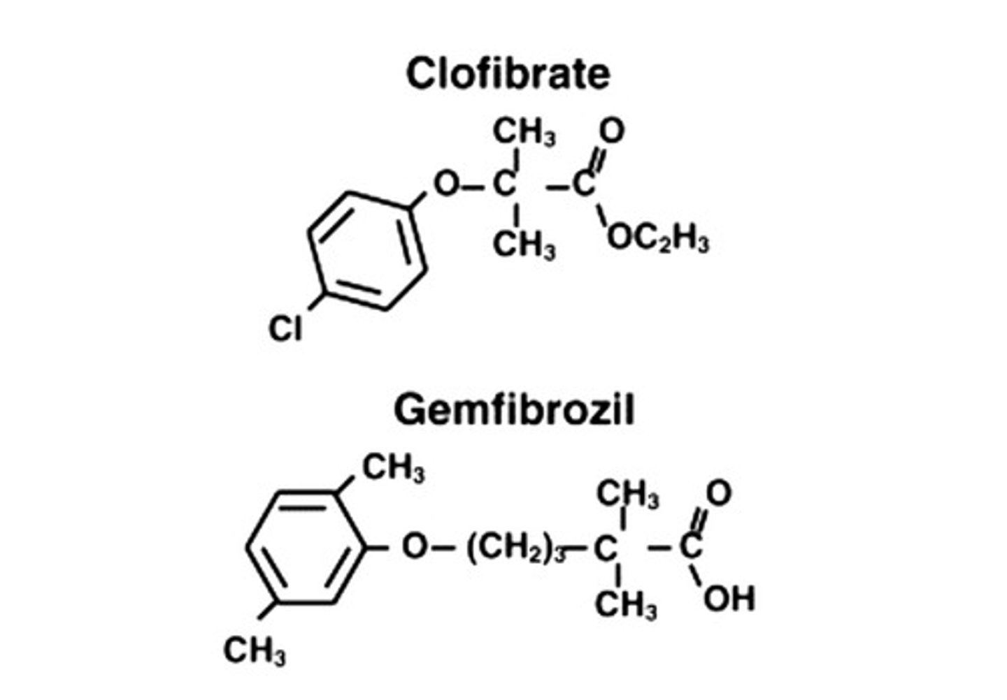 <p>Clofibrate/Gemfibrozil</p>