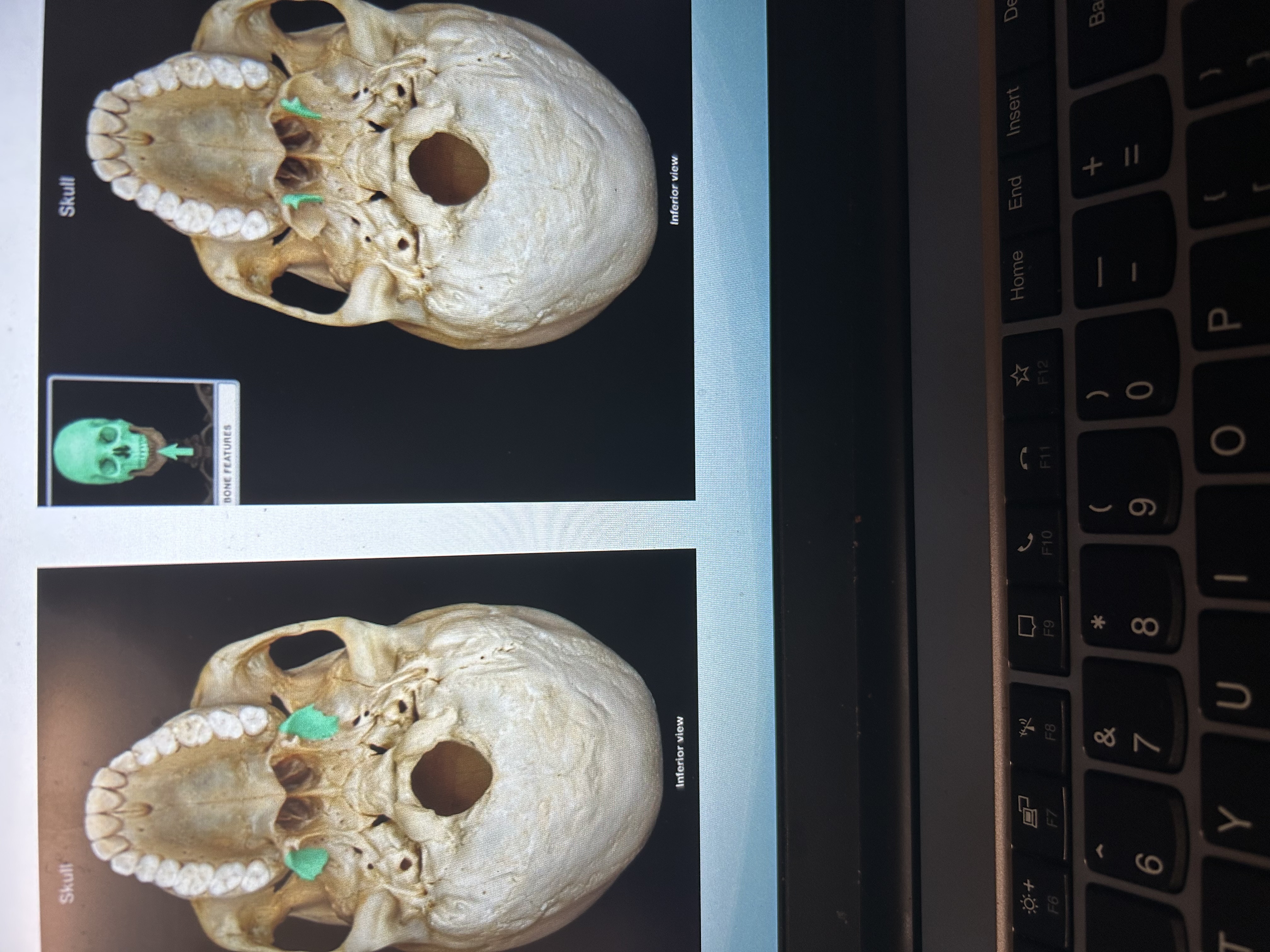 knowt flashcard image