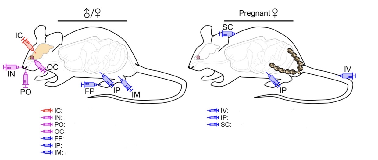 <p>A- what is the method of examination used here</p><p>B- what is the organisms can found by this method </p><p>C- <span><strong>Define the following animal inoculation abbreviations: IC, IN, PO, OC, FP, IP, IM, IV, and SC.</strong></span></p>