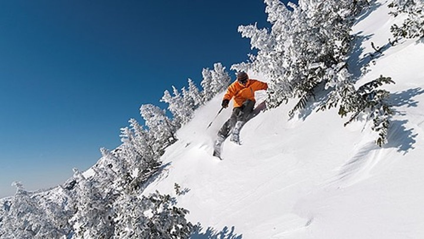 <p>ski run</p>