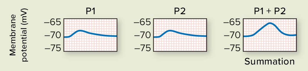 <p><span>*What specific type of summation does this represent</span></p>