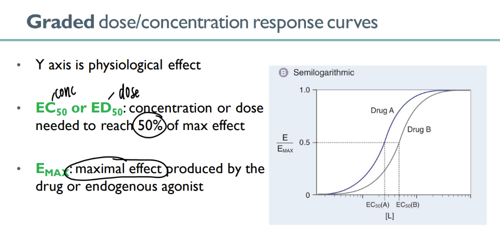 <p>the MAXIMUM effect that can be caused by a certain drug (or endogenous agonist) </p>