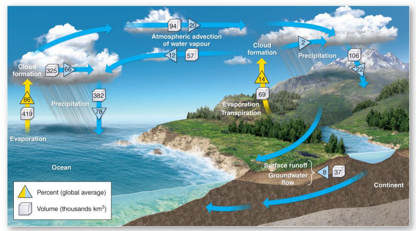 Evaporation - water loss from the surface

Transpiration - water loss from plant leaves

Evapotranspiration - all processes by which water in solid/liquid phase near land surface becomes water vapour