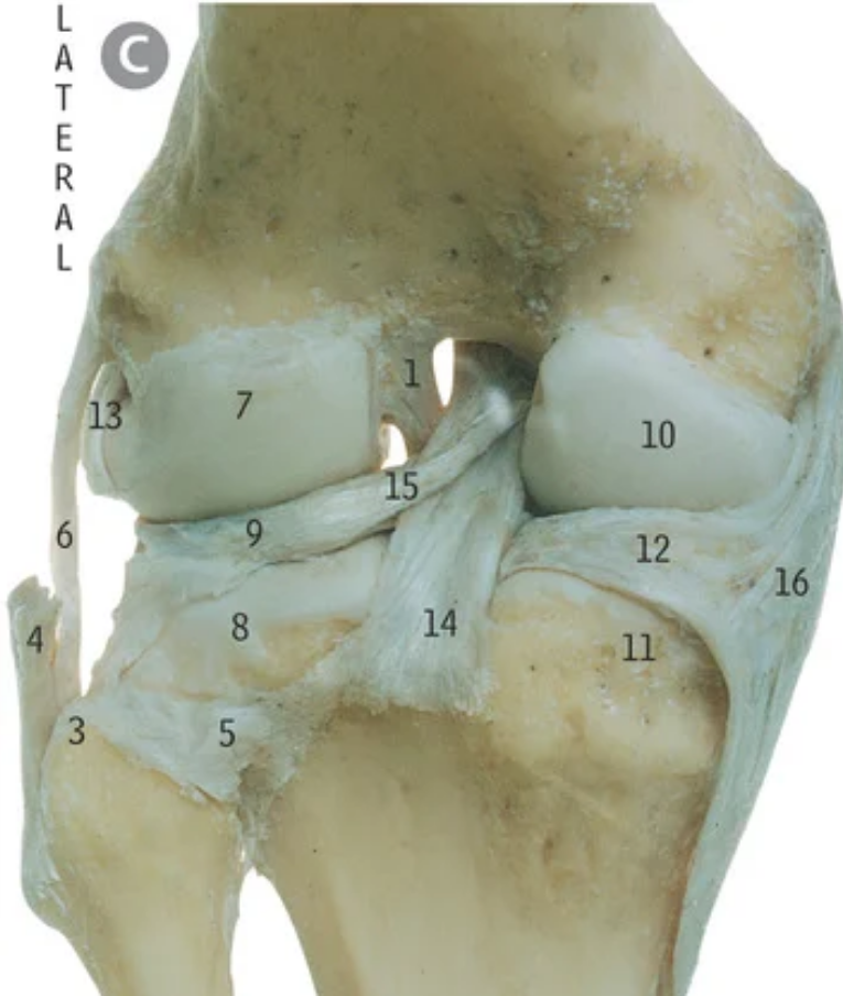 <p>1</p>