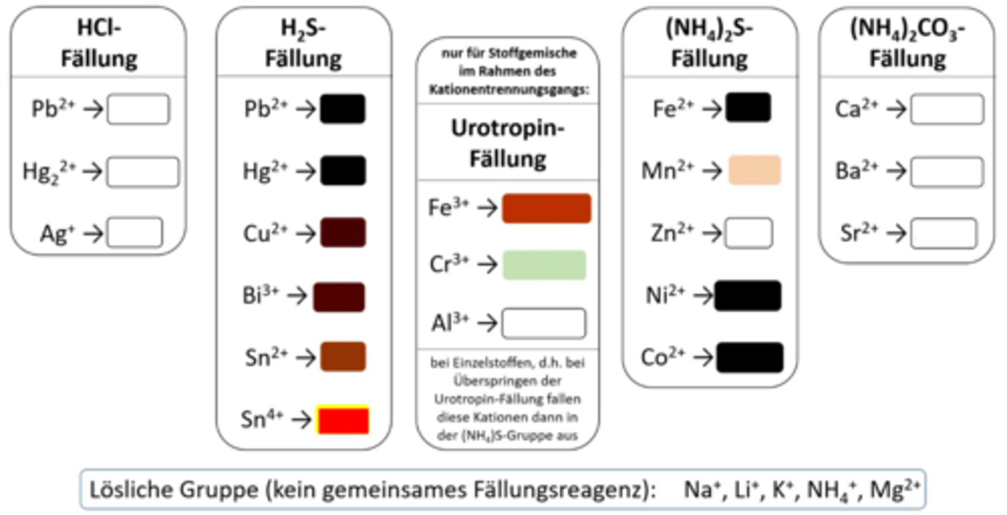 <p>Sn⁴⁺ NS</p>