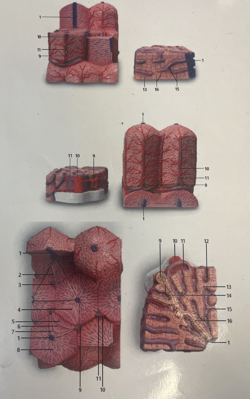<p>1</p>