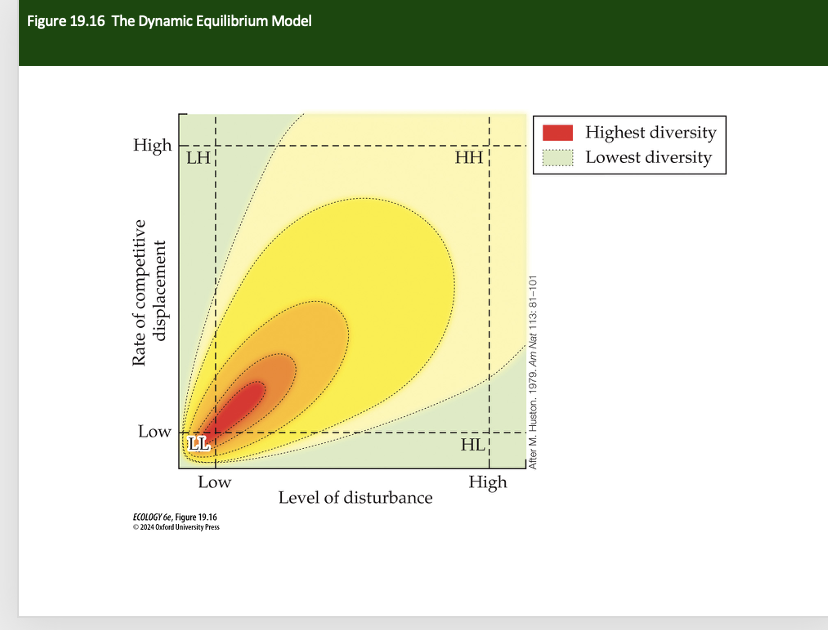 <p>Huston’s<strong> dynamic equilibrium model experiment</strong></p>