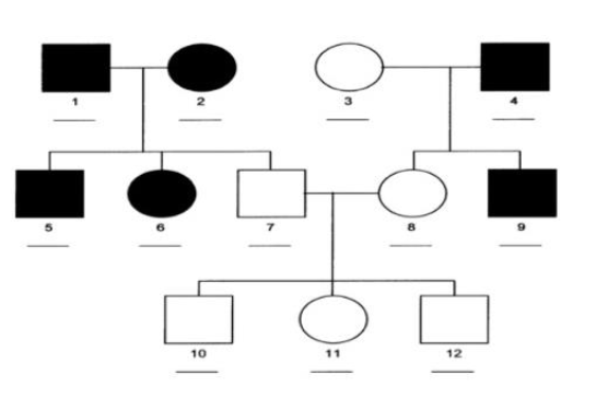 <p>Is the following pedigree dominant or recessive?</p>