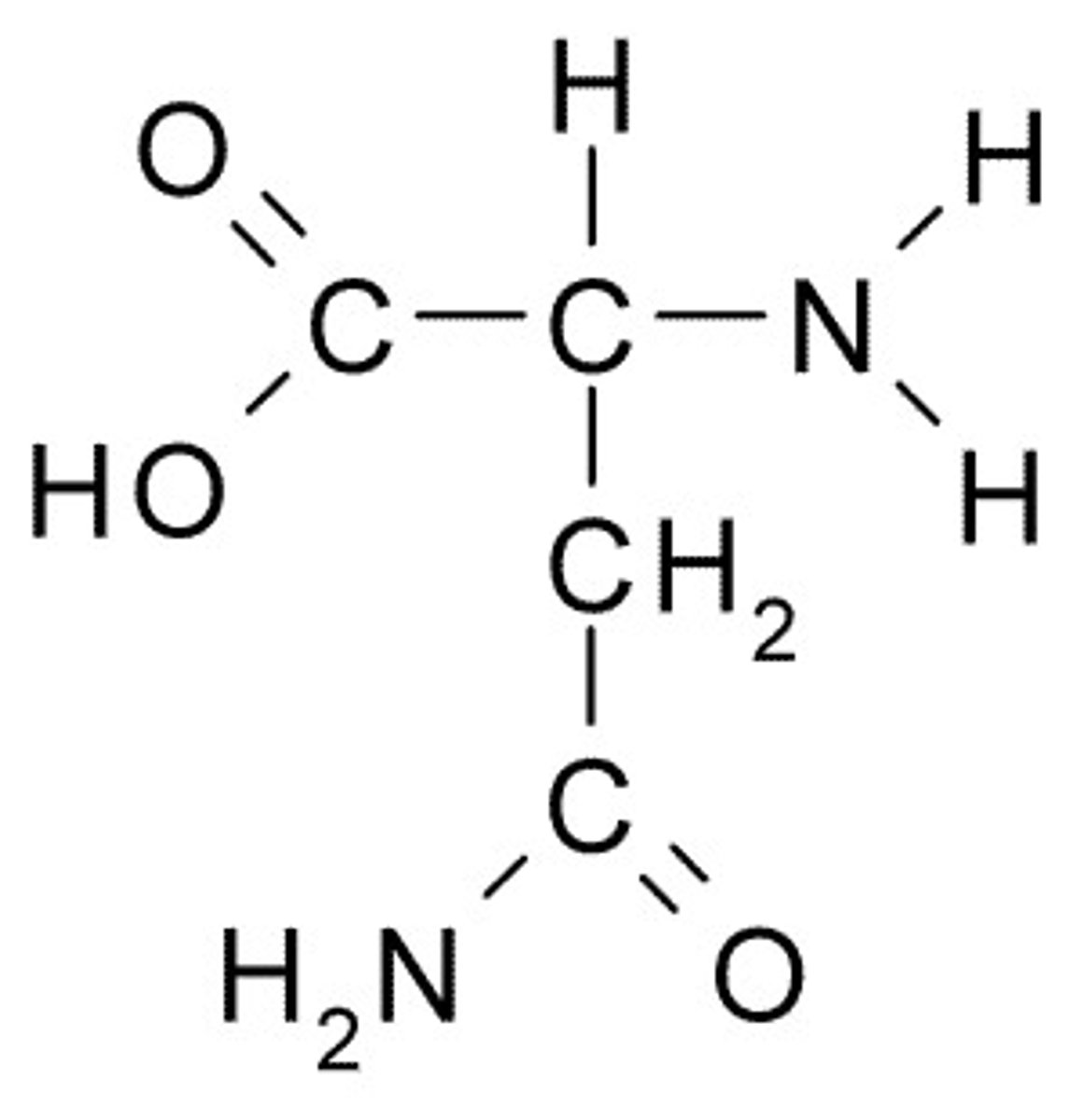 <p>(Asn, N) neutral-polar, hydrophilic</p>