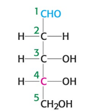 <p>What is the name of the sugar depicted in the image?</p>