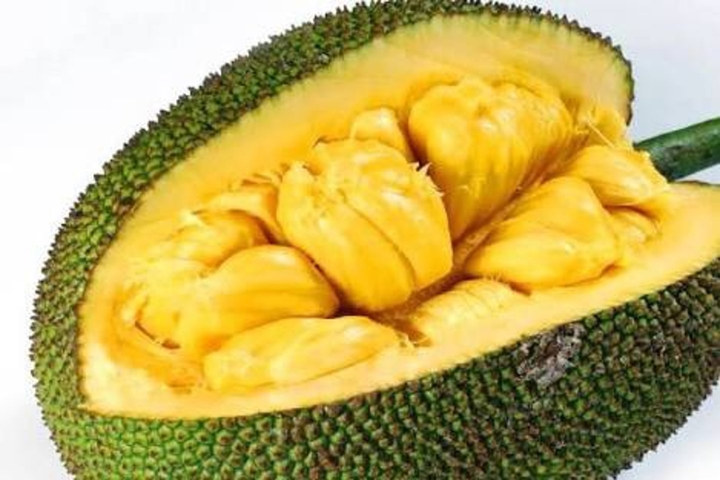 <p>quả mít</p>