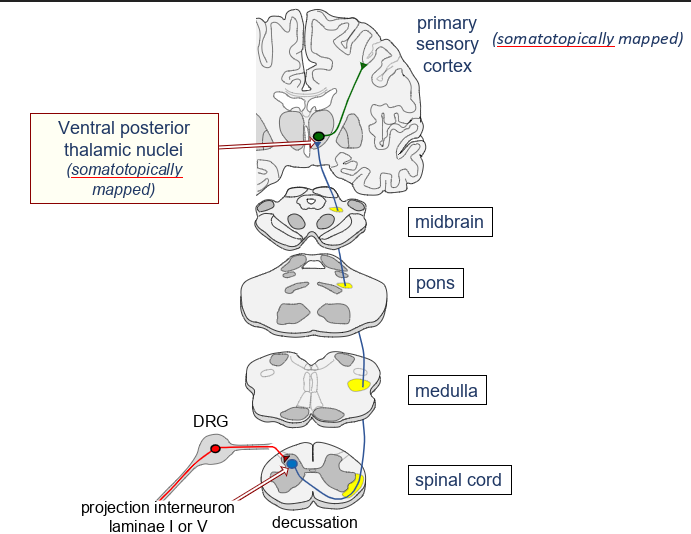 <p>what tract is this</p>