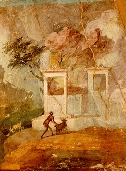 term image