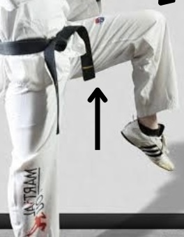 <p>from this position you can execute any kick using either conceric muscle movement</p>