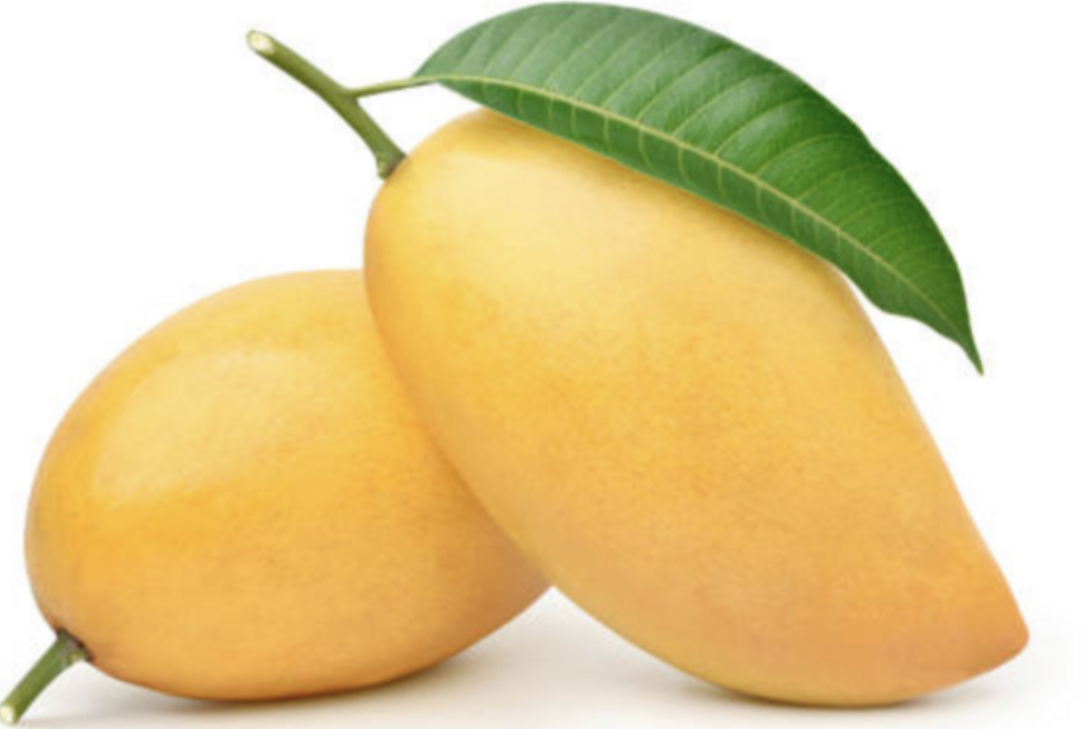 <p>mango</p>