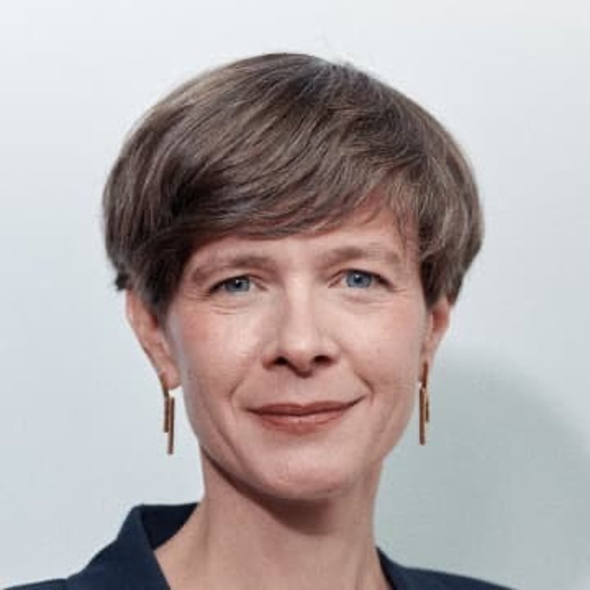 <p>N-VA, Vlaams minister van Brussel en Media</p>