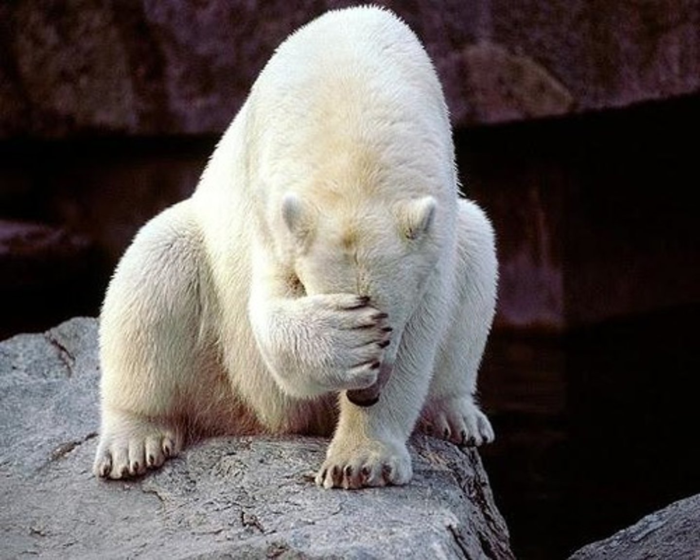 <p>ashamed, embarrassed</p>