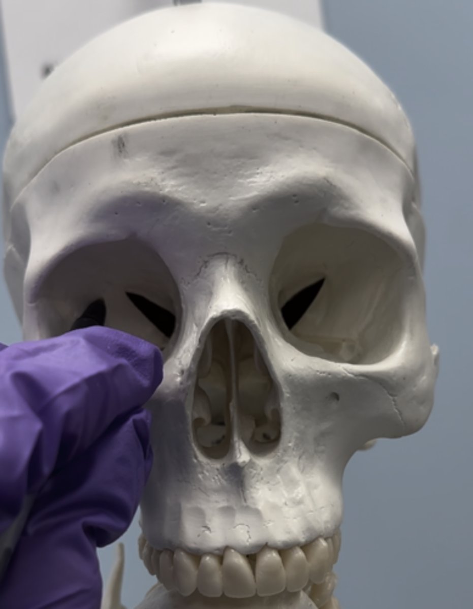 <p>Pointed at is</p>