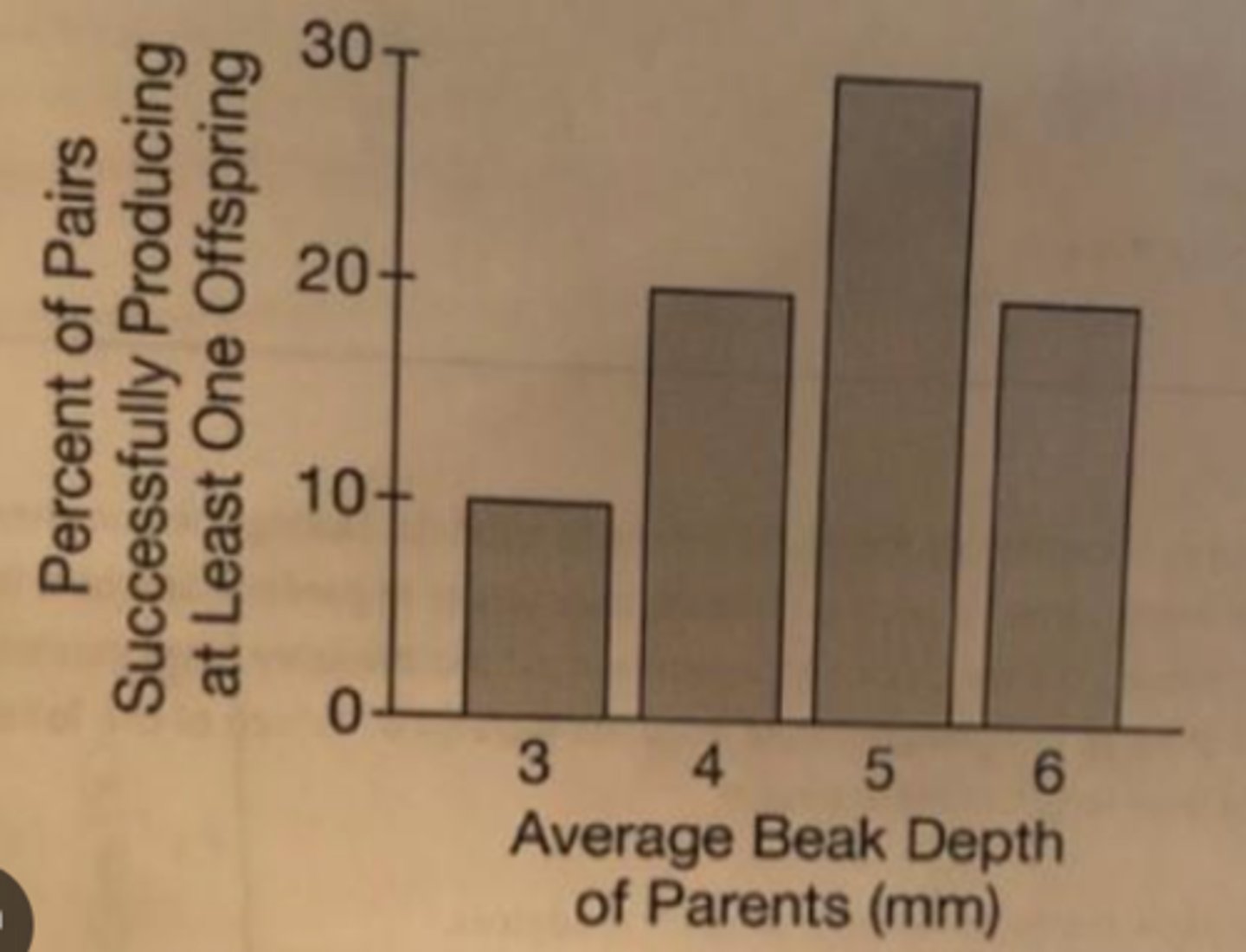 <p>A Parental pairs with a specific beak depth had the highest reproductive fitness.</p>