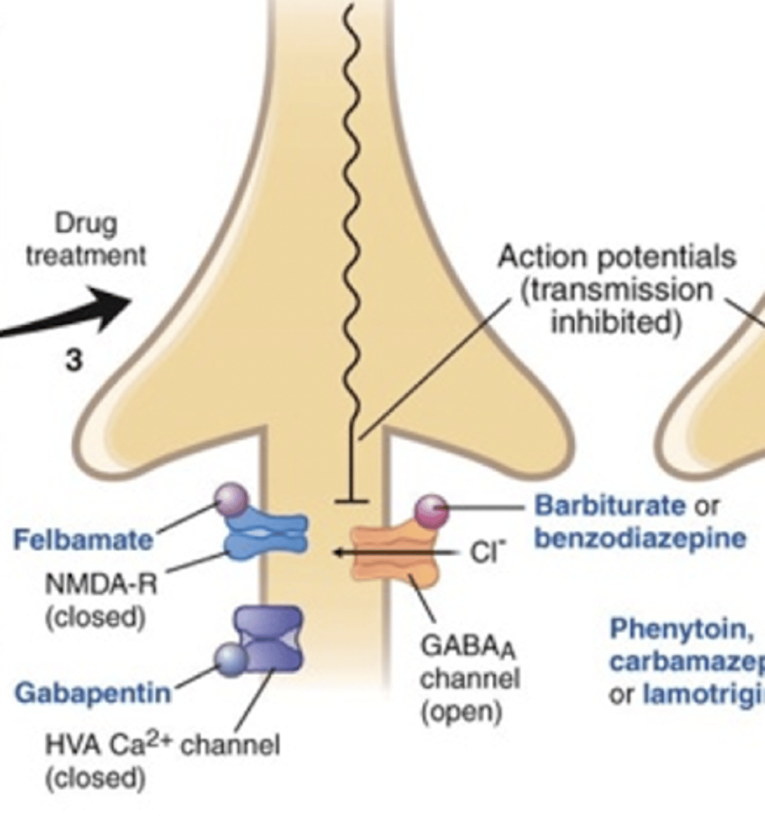 <p>Inhibits voltage-gated Ca channels</p><p>Prevents Ca entry, which prevents NT release</p><p>Prevents excitation and spreading cause by NT</p>