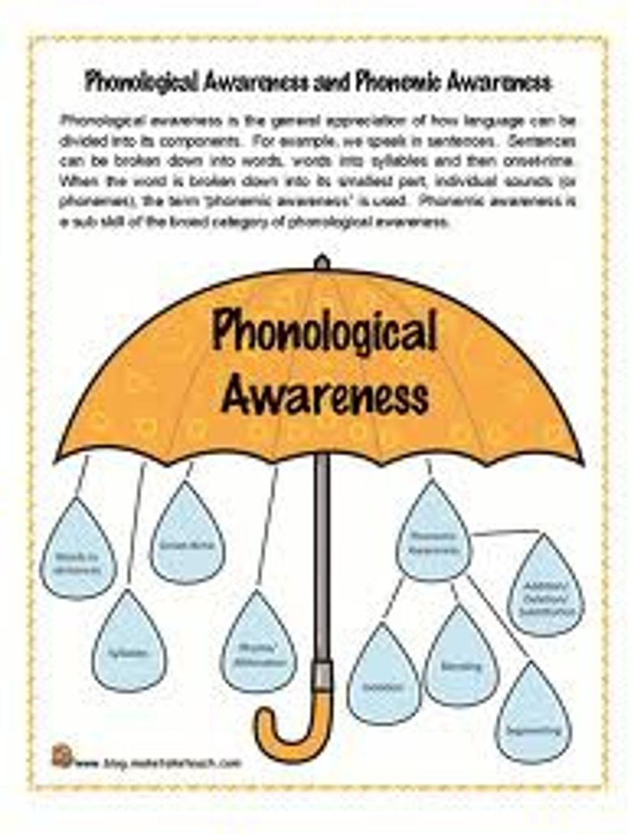 <p>A broad term that includes phonemic awareness. In addition to phonemes, these activities can involve work with rhymes, words, syllables, onsets, and rimes.</p><p>ITS AUDITORY</p>