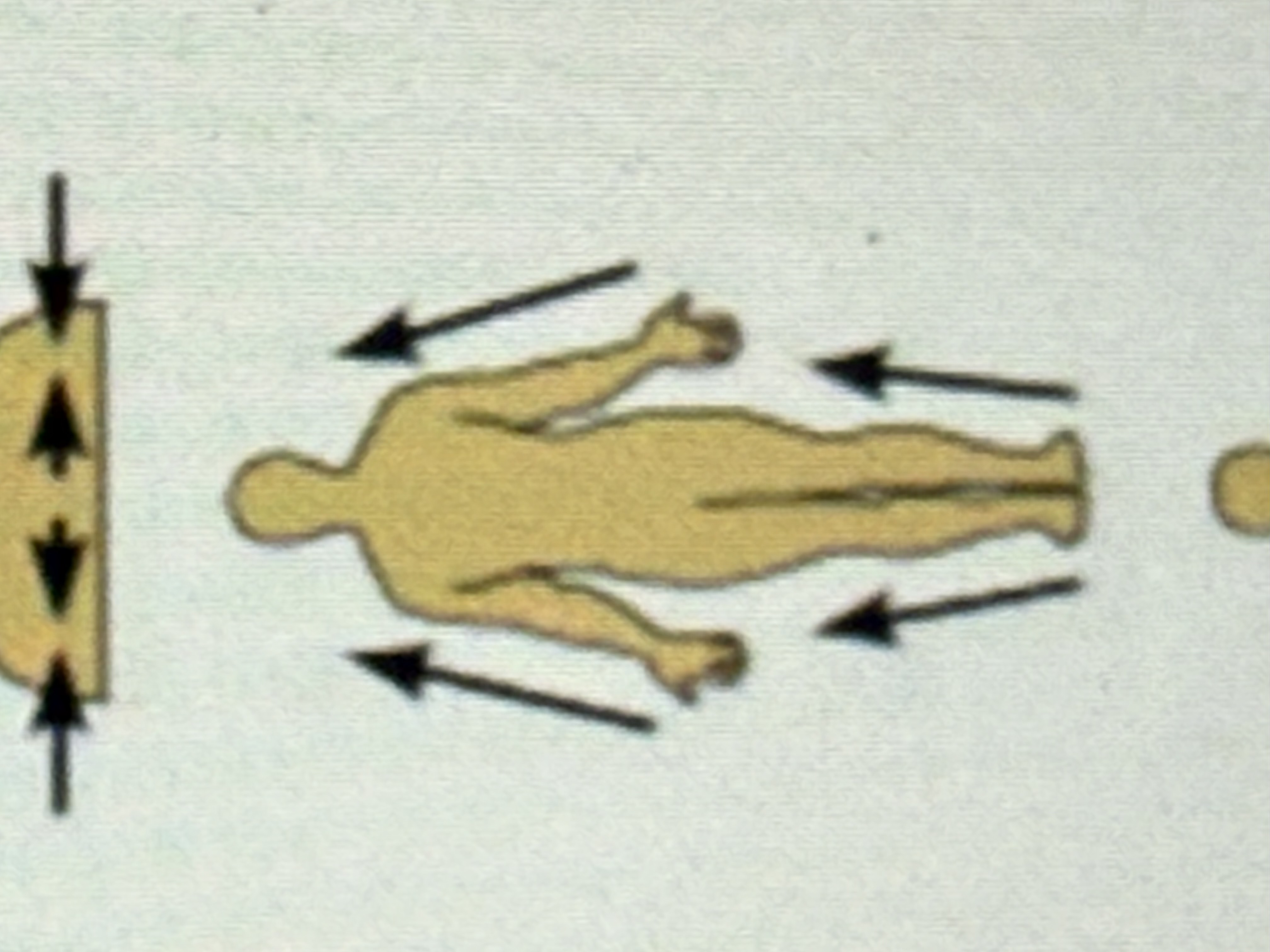 <p>Closer to the origin of a body part or the point of attachment.</p>