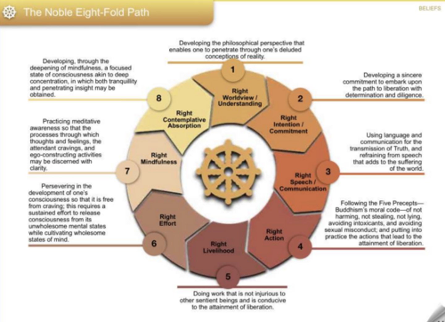 <p>the 8 fold path:</p><p>1. Right worldview</p><p>2. Right Intention</p><p>3. Right Speech</p><p>4. Right Action</p><p>5. Right Livelihood</p><p>6. Right Effort</p><p>7. Right Mindfulness</p><p>8. Right Contemplative Absorption</p>