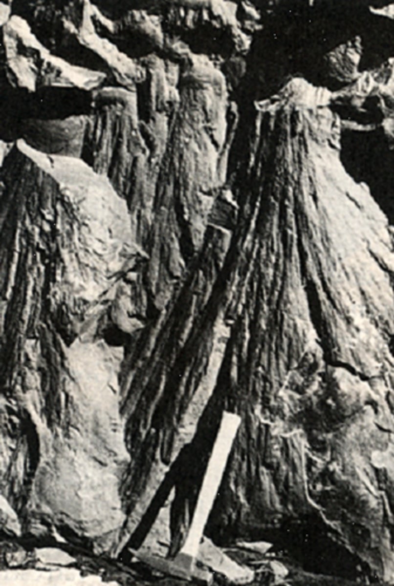 <p>Fossil shock waves, horsehair texture</p>