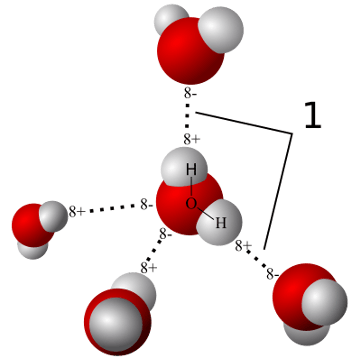 <p>Weak attraction between a hydrogen atom and another atom氢健</p>