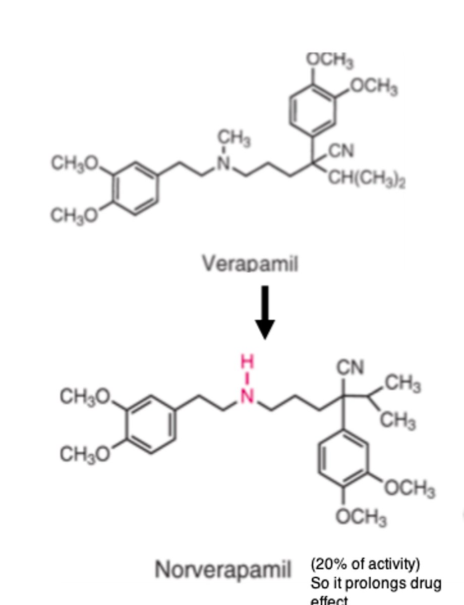 <p>- CYP3A4</p><p>- norverapamil (20% of activity of verapamil)</p><p>Thus, increasing its duration of action.</p>