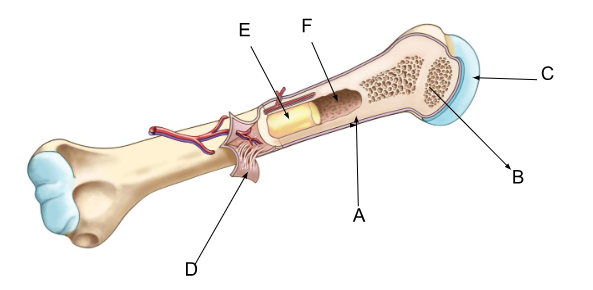 <p>what is B? </p>