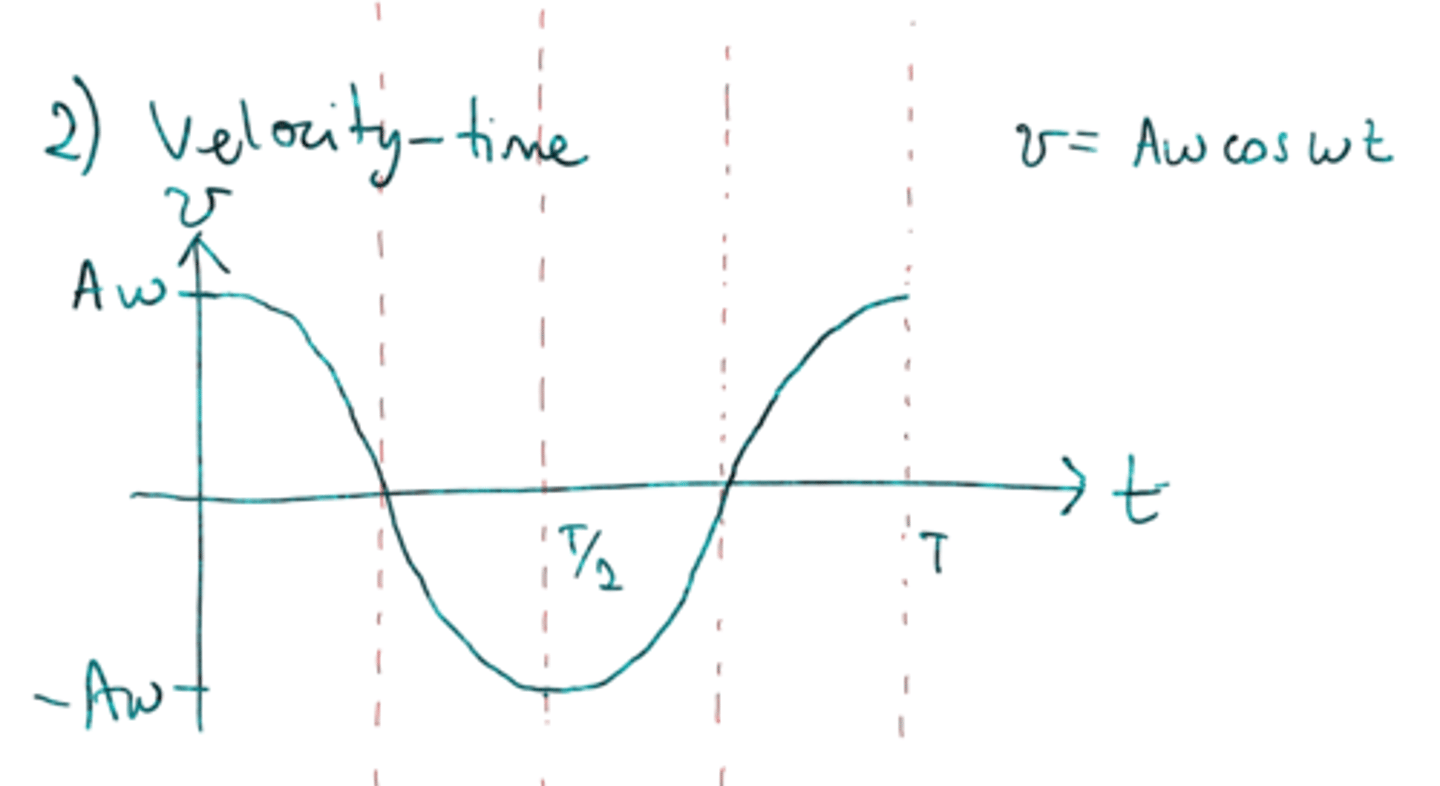 <p>Cos graph</p><p>- because the greatest velocity is at equilibrium</p><p>- V-t graph is 90° out of phase</p><p>(vel is the rate of change of 𝔁 ∴ gradient)</p>