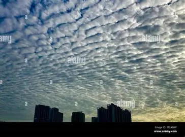 <p>Cirrostratus Cloud</p>
