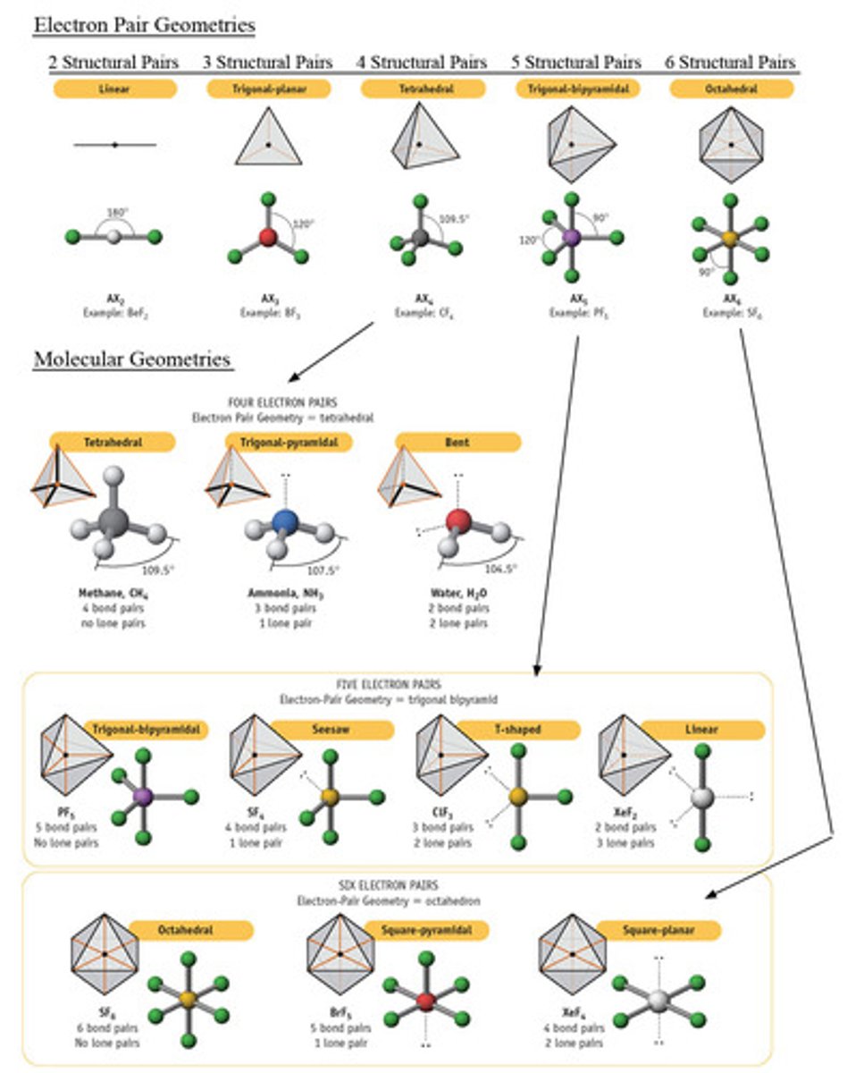 <p>electronic- describes the spatial arrangement of all pairs of electrons around the central atom</p><p>molecular- describes the spatial arrangement of only the bonding pairs of electrons</p>