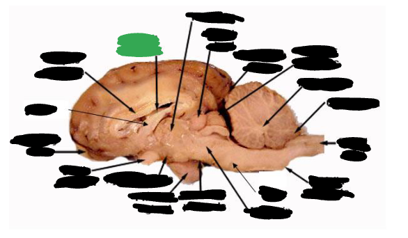<p></p>