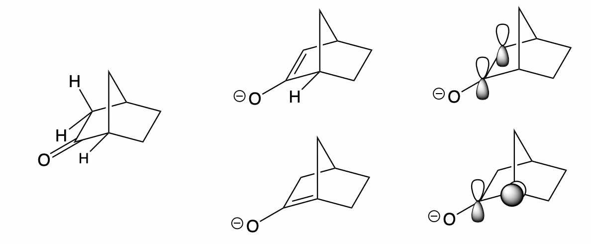 <p>a double bond is not possible at the bridgehead of two small rings</p><p>= poot orbital overlap </p>