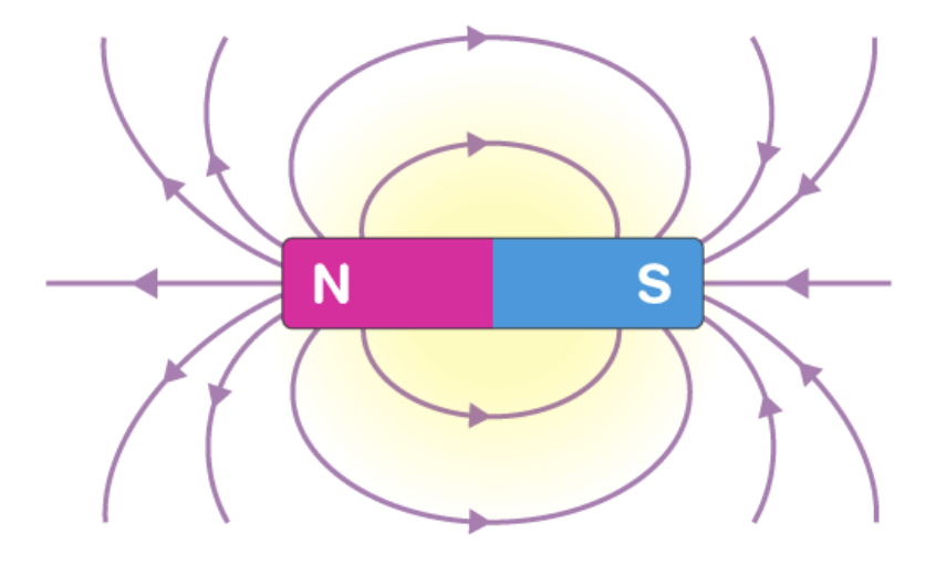 <p>Towards the <strong>ends of the magnet</strong>, <strong>poles are where the field is strongest (N &amp; S)</strong></p><ul><li><p>That is why when placing two magnets together by its sides, they don’t attract/repel, whereas when you place the heads to tails, there is reaction force!</p></li></ul><p></p>