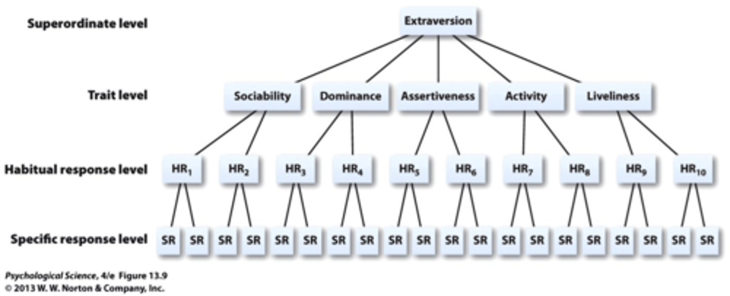 <p>determined by genes, some people can be conditioned more easily; all aspects of personality stem from:</p><p>1. extraversion/introversion: sociable, assertive, active, lively</p><p>2. neuroticism/stability: anxious, tense, moody, low self-esteem</p><p>3. psychoticism/self-control: egocentric, impulsive, cold, antisocial</p>