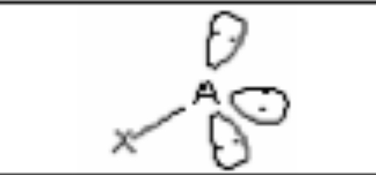 <p>Linear, 109.5°, sp³, 1 bonding pairs, 3 lone pairs</p>