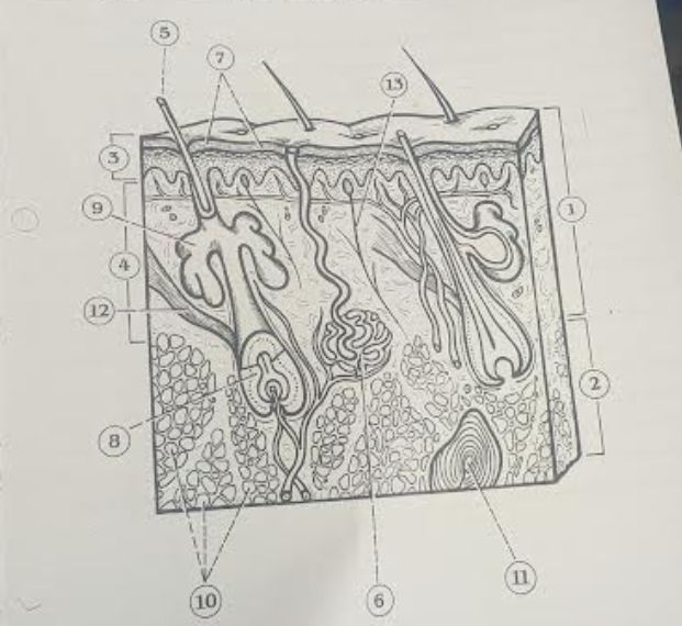 <p>2</p>
