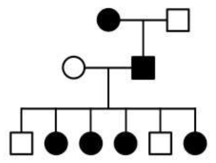 <p>An X-linked trait that is dominant - affects mostly women because women get two X chromosomes but only need one dominant X-linked allele to show the trait</p>