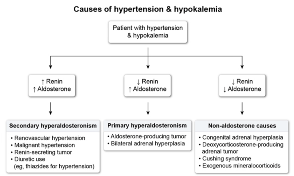 <p>Always look for mild hypernatremia (143-147), met alkalosis, hypokalemia.</p><p></p><p>Dx: Plasma Aldosterone concentration / plasma renin activity= >20 + Aldosterone >15 suggests PHA. </p><p></p><p>B/I adrenalhyperplasia should be managed w/aldosterone antagonists.</p>