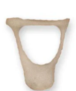 <p>the smallest bone in middle ear AND in the WHOLE BODY, helps transfer sound </p>