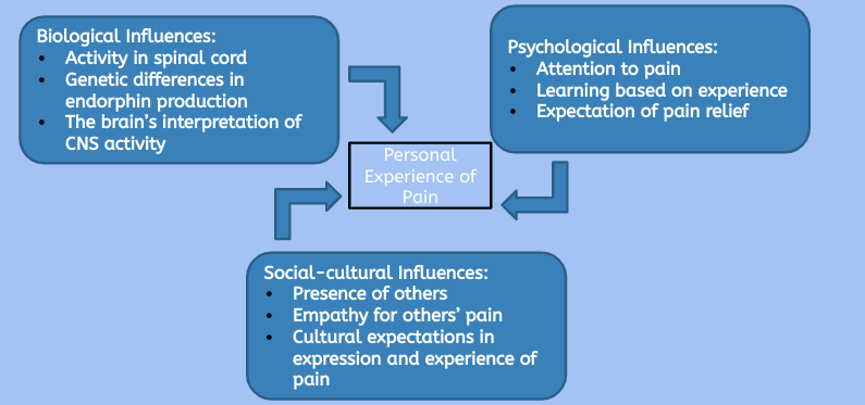 the differing influences in experiencing pain