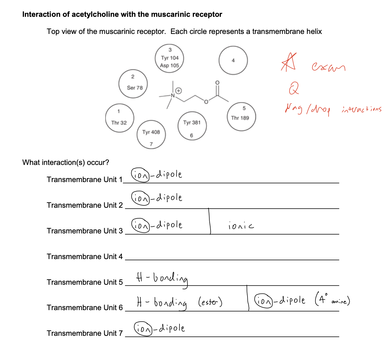 knowt flashcard image