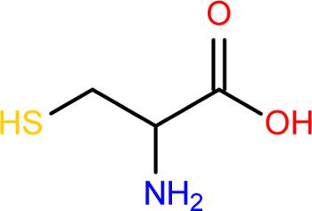 <p>organic compound that contains a sulfhydryl group</p>